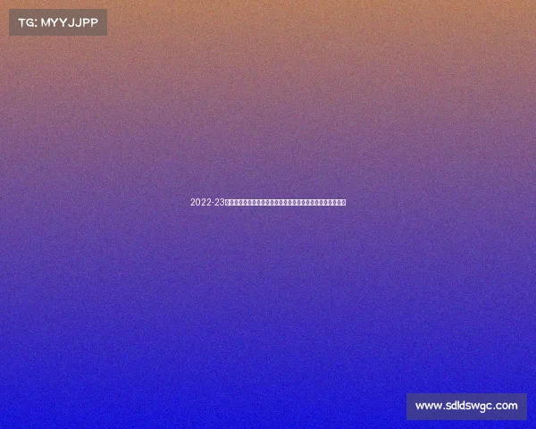 2022-23赛季德甲联赛精彩回顾：冠军争夺、降级大战与个人亮点展现